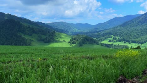 a beautiful panoramic view of lush green mountains and vibrant fields under a blue sky with fluffy clouds, capturing the essence of nature's serenity