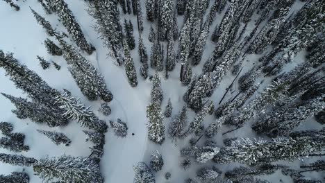 Vista-Aérea-De-Pájaro-Del-Paisaje-Invernal,-Bosque-Montañoso-De-Coníferas-Cubierto-De-Nieve-En-Las-Tierras-Altas-De-Canadá