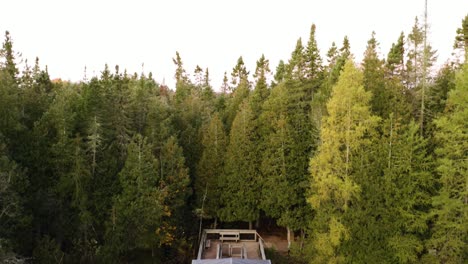 Wooden-tourist-raft-on-lake,-aerial-pedestal-up-to-reveal-lush-forest