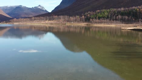 aerial view of the shallow lake-1