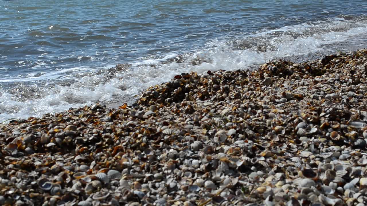 Muschelstrand. Wasser und Meer.
