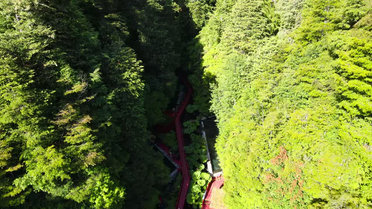 carretilla aérea en la pista roja sobre madera en el complejo de aguas termales termas geometricas, rodeado de bosque, coñaripe, chile