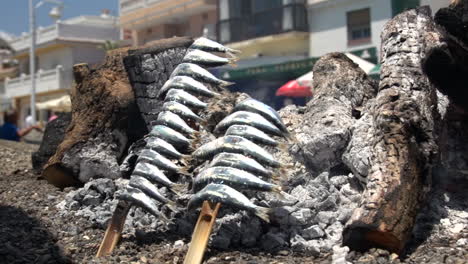 Brocheta-De-Pescado-De-Sardinas-Al-Fuego-A-La-Parrilla-Con-Leña-Ardiendo