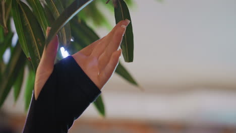 close up of female hand with elegant acrylic nails reaching gently toward green leaf with soft natural lighting and blurred background, capturing quiet connection between human and nature