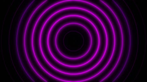 abstract seamless loop neon purple concentric circle on a black background