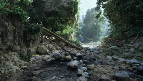 a lush, overgrown forest path with a stream running through it