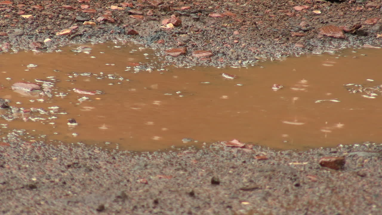 Raindrops fall into a puddle of yellowish earth
