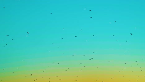 muchos pájaros migratorios volando en el cielo del crepúsculo naranja azulado
