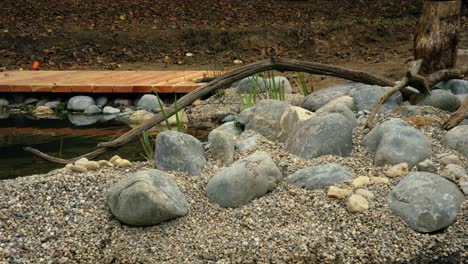 natural pond under construction to attract biodiversity to your garden