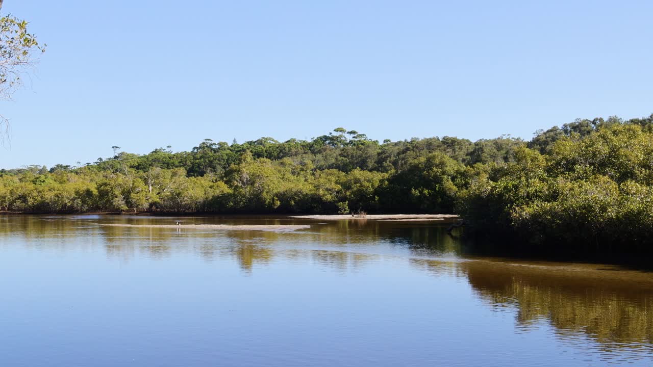 나무와 반사와 함께 조용한 강 풍경