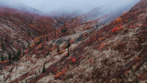 autumn in the alaskan mountains