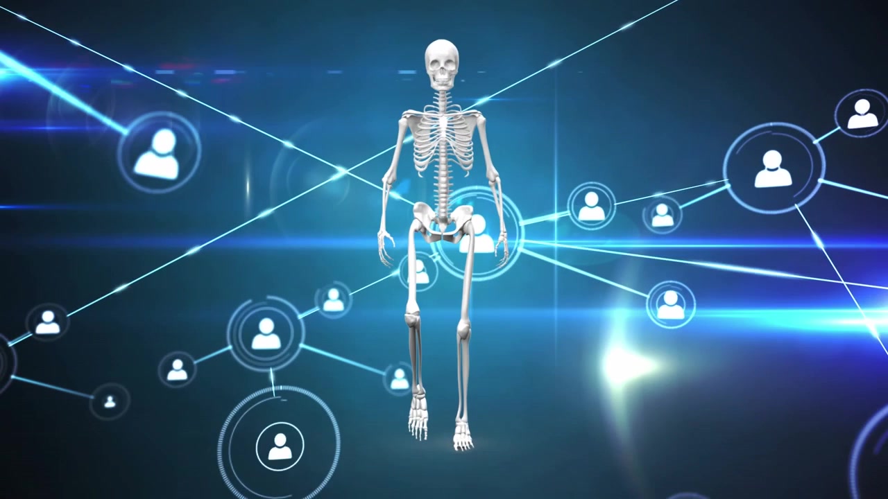 Animation af netværk af forbindelser og ikoner over model af menneskeskelet