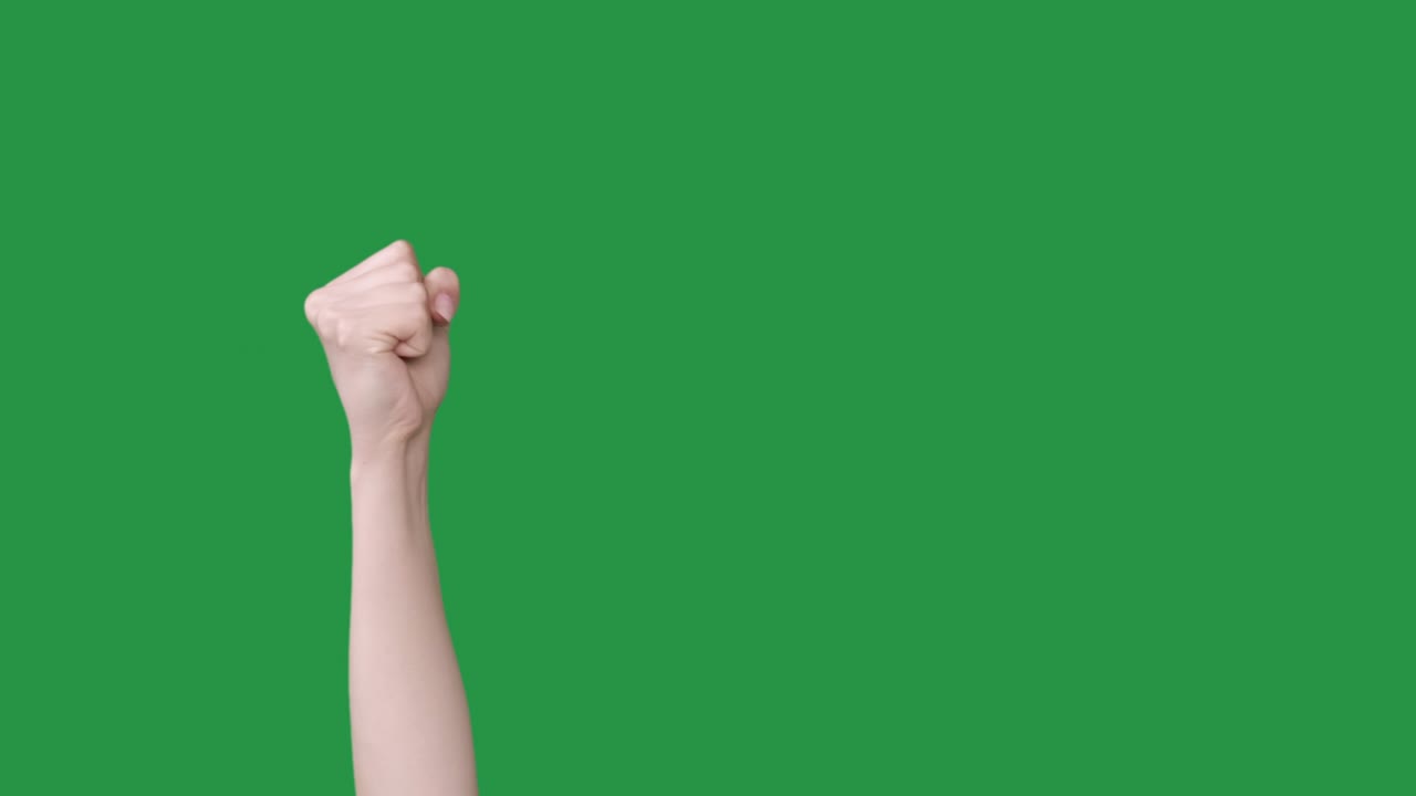항의 주먹 혁명 제스처 힌 손