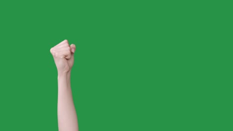 el puño de protesta el gesto de la revolución la mano apretada