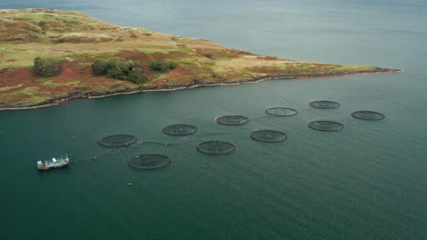 Piscifactorías-En-Escocia