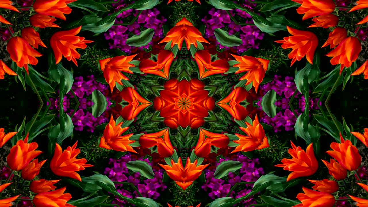 abstracto flores coloridas concepto de flora patrón simétrico ornamental decorativo caleidoscopio movimiento círculo geométrico y formas de estrellas
