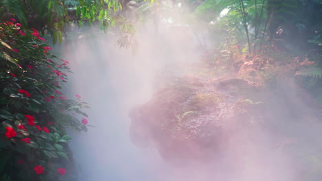 mist shrouding tropical jungle stream with lush foliage and flowers