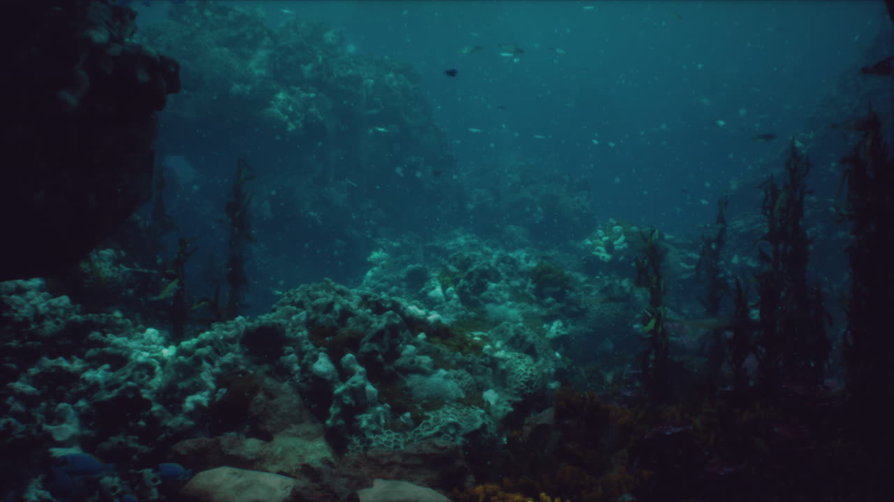 Escena de arrecife de coral submarino