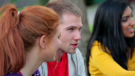 Studenten-Die-Sich-Auf-Dem-Rasen-Unterhalten