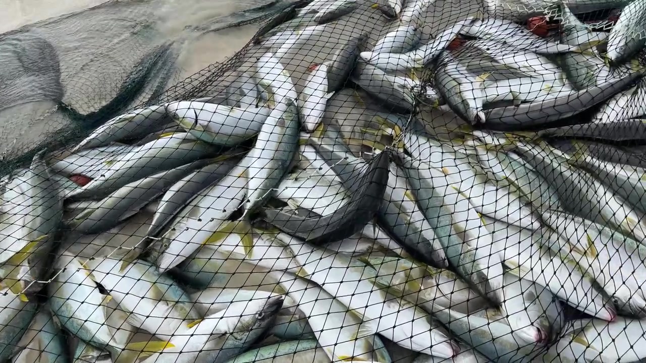 Pesca sulla costa dell'Africa meridionale