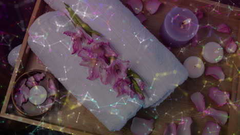 spa showing rolled white towel resting under pink gladiolus with petals floating around flat design