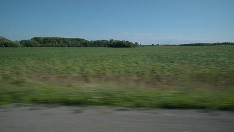 shot from a moving car on the side of the road at the edge of fields