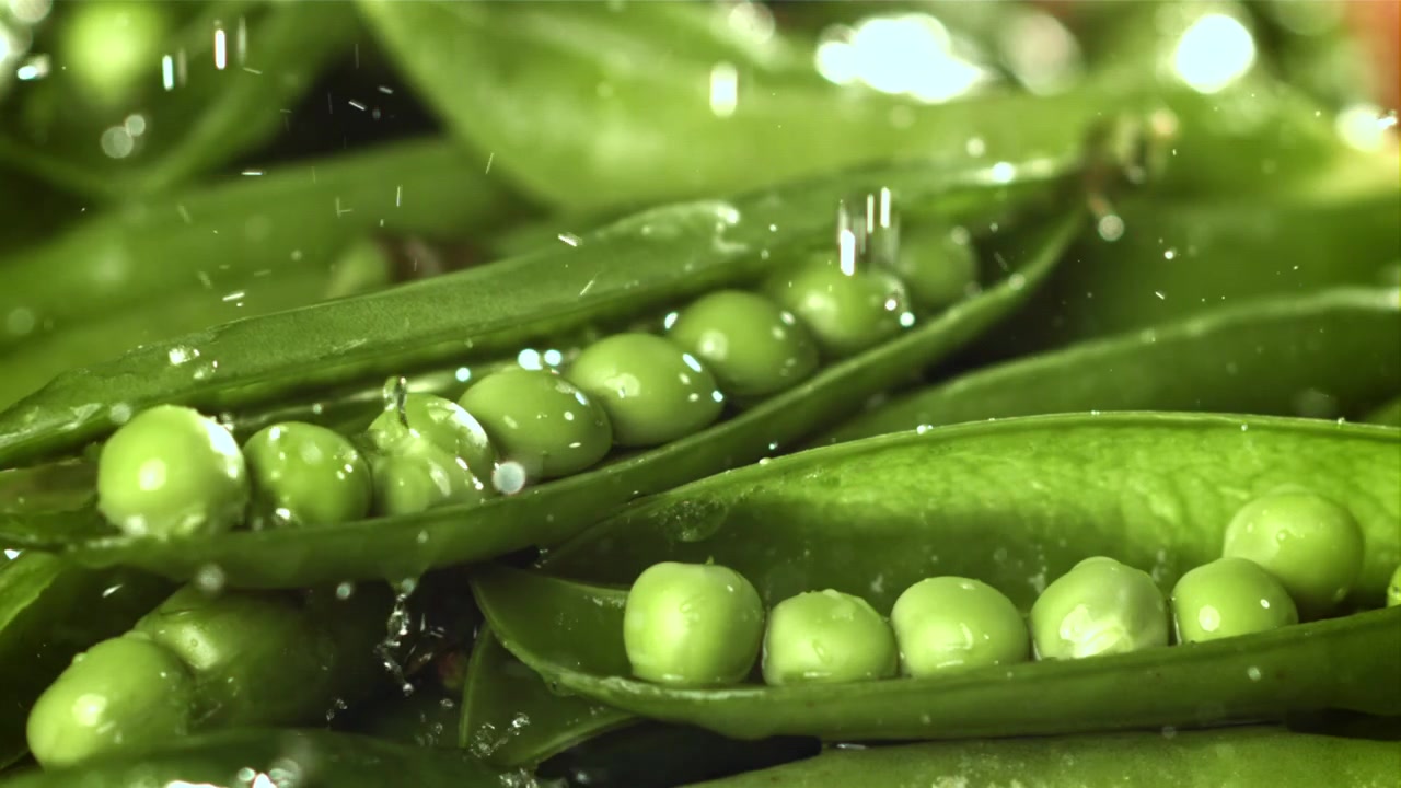 Water Droplets Falling on Fresh Green Peas in Pods