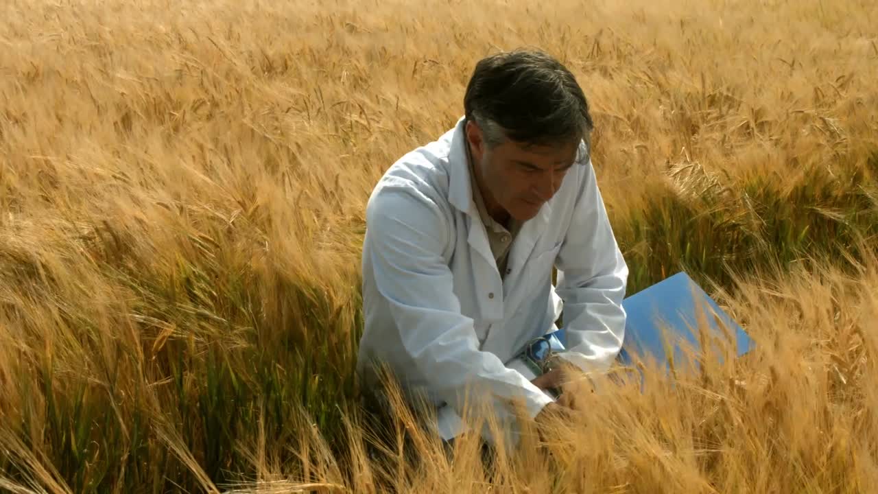 식품 과학자 가 농작물 을 점검 하고 있다