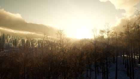 fantastic evening winter landscape