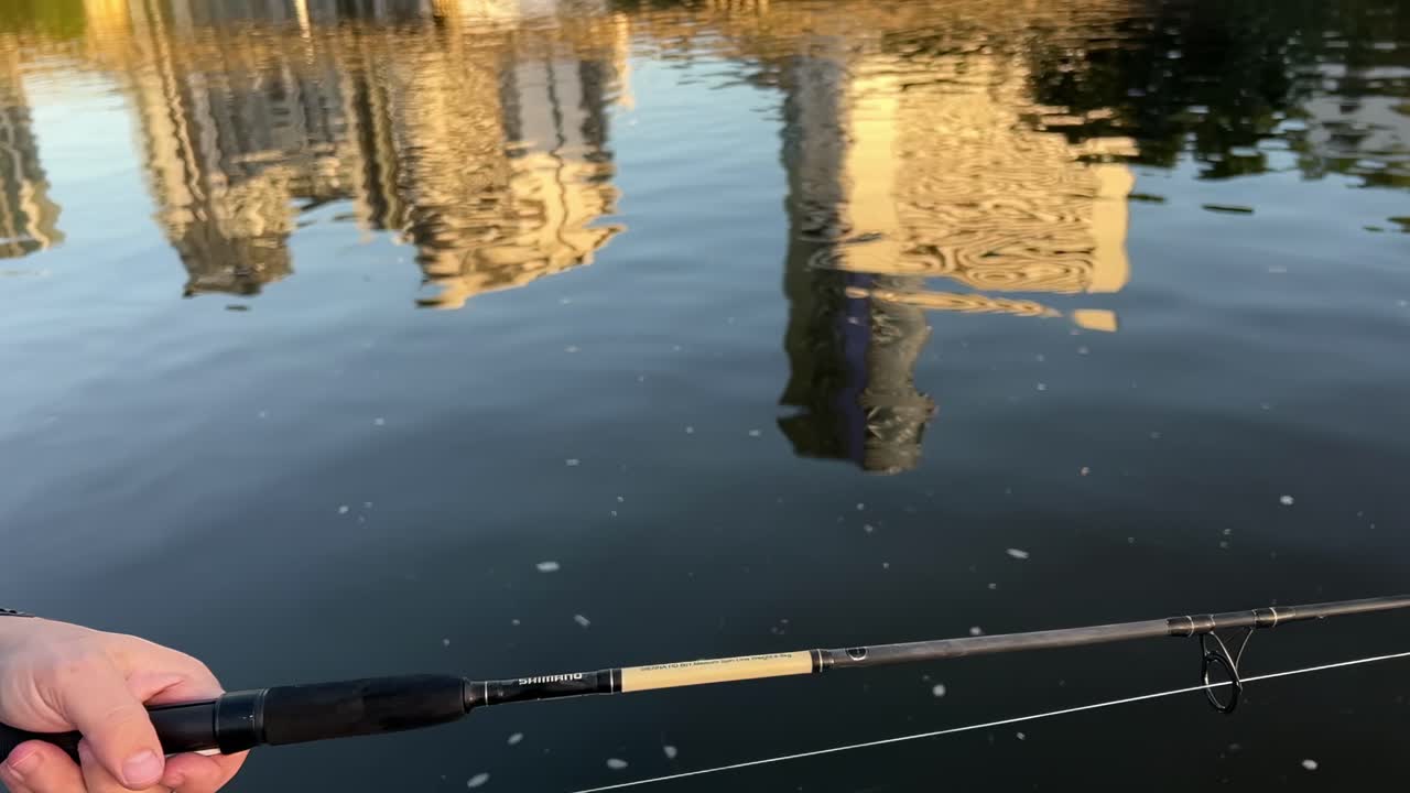 A fish is caught and released into a river in Geelong, Australia, under clear skies with urban reflections