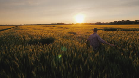 Ein-Junger-Bauer-Betrachtet-Die-Weizenährchen,-Die-Bei-Sonnenuntergang-Auf-Einem-Feld-Stehen,-Eine-Malerische-Ländliche-Landschaft