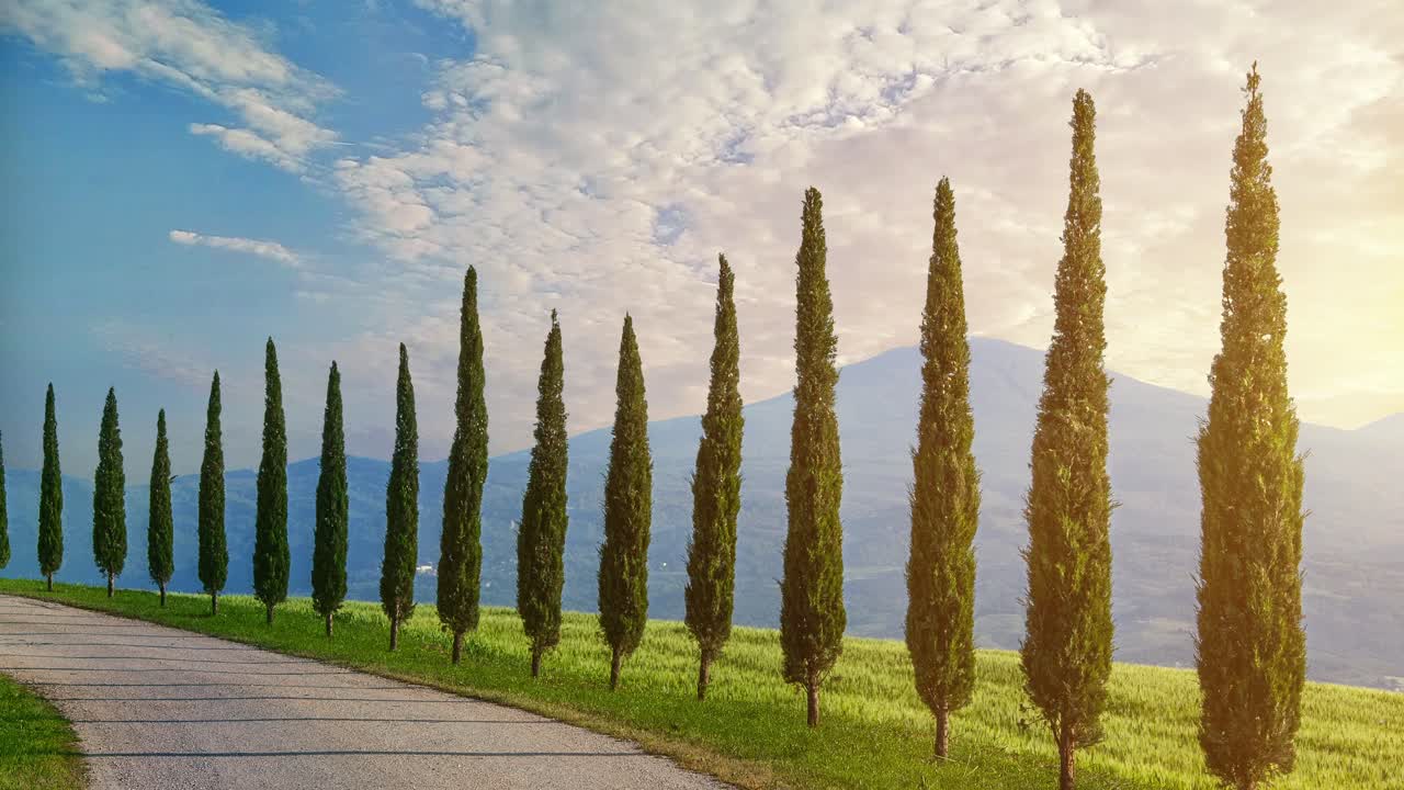 Treelined dirt road in Tuscany with cypress trees 4k time-lapse