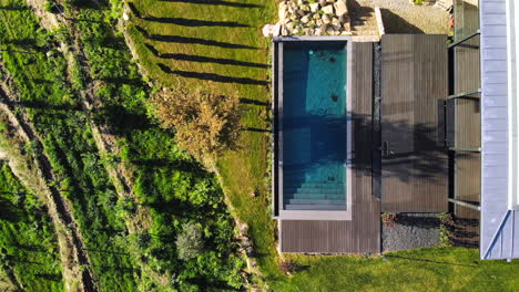 Modern-countryside-house-with-a-pool-and-vineyards