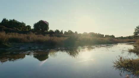 sunset over a tranquil river in a woodland setting