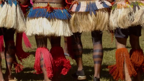 indigenous amazonian dancers' legs with striped paint and red grass skirts, dancing in slow motion