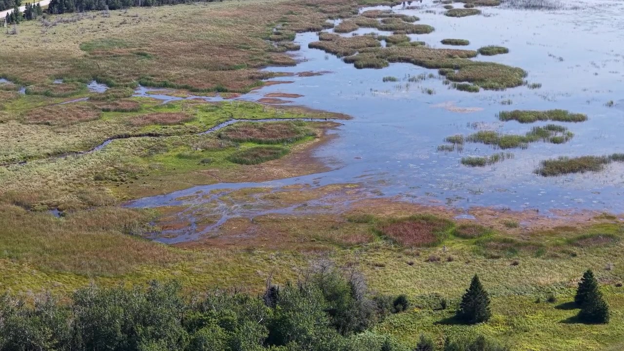 Luftfoto af et skovområde med talrige vandløb og vandområder nær Hessel, Michigan