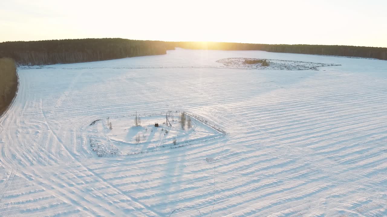 взгляд с воздуха на заснеженное поле и лес при восходе и заходе солнца