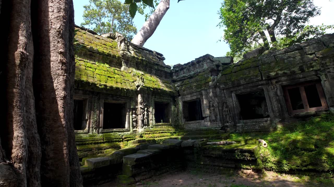 Ta Prohm, the Tomb Raider Temple in Cambodia, showcases nature reclaiming