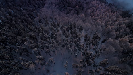 Eine-Luftaufnahme,-Die-Den-Sonnenuntergang-Mit-Der-Von-Nebel-Und-Winterwald-Bedeckten-Landschaft-Auf-Einem-Hügel-Zeigt