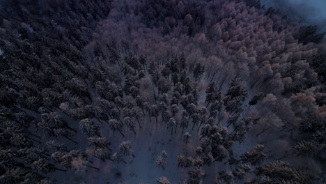 Una-Toma-Aérea-Que-Revela-La-Puesta-De-Sol-Con-El-Campo-Cubierto-De-Niebla-Y-El-Bosque-Invernal-En-Una-Colina