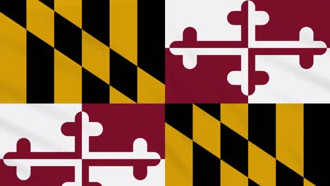 la bandera de maryland flota en el viento, bucle para el fondo