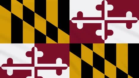 maryland flag flutters in the wind, loop for background