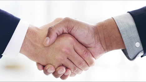 Sealing-the-deal-with-a-handshake