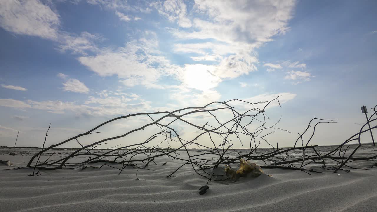 Time lapse shot of clouds moving above dead branches, on a beach, on a sunny day
