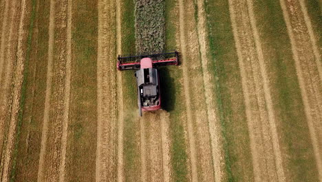 aerial view of modern combine harvester in action. wheat field at harvest time. agricultural sector