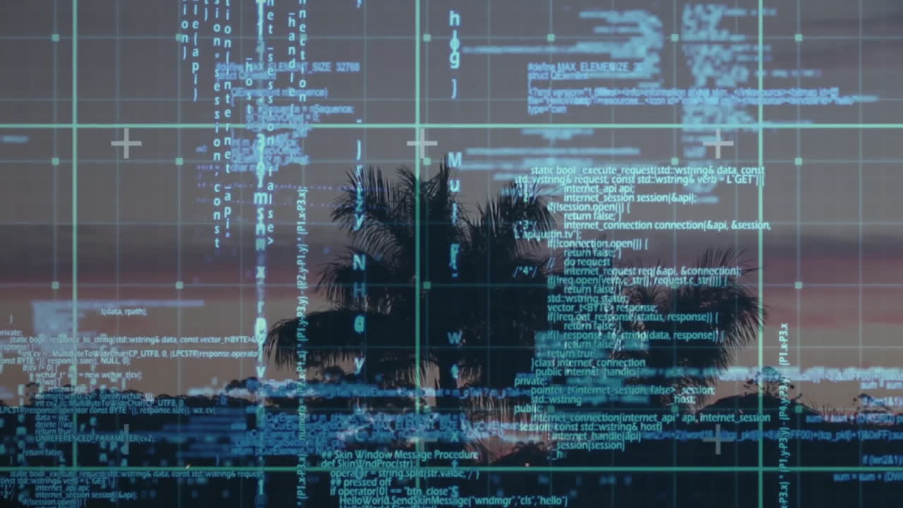 Digital code and data processing animation over tropical landscape with palm trees