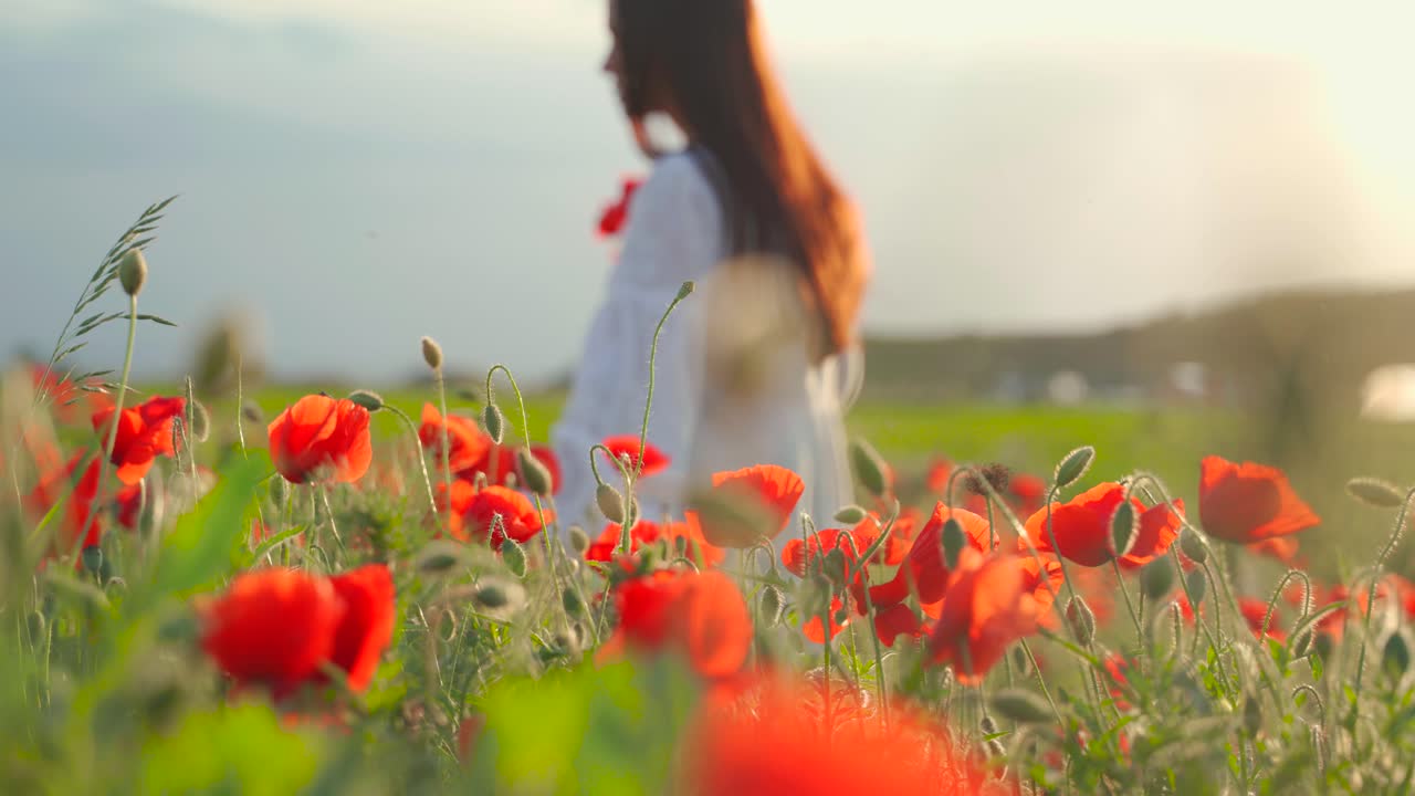 mujer caucásica con cabello castaño largo con ramo en la mano camina a través del campo de amapolas rojas, cerca de la mano