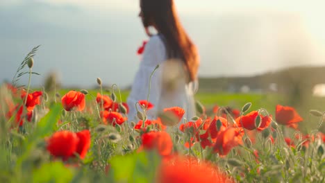 Caucasian-woman-with-long-brown-hair-with-bouquet-in-hand-walks-through-red-poppy-field,-handheld-close-up