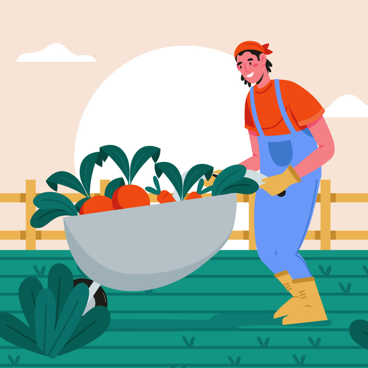 당근 을 수확 하는 농부