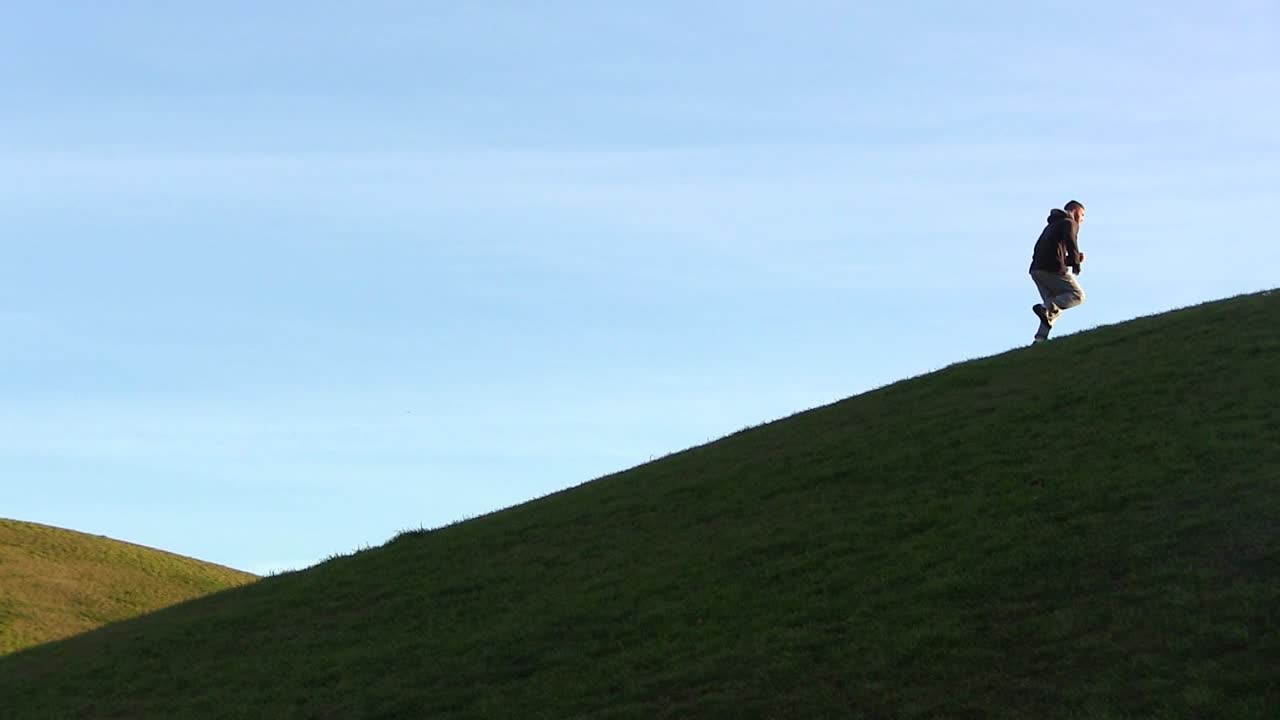 가파른 잔디 언덕 훈련을 실행하는 복서의 넓은 상징적 샷